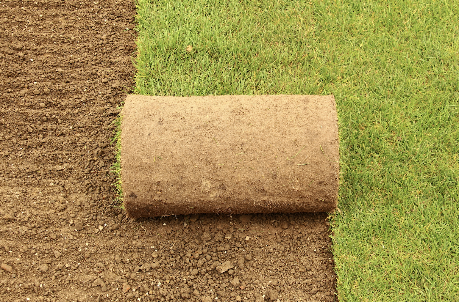 Seed and Sod tips from Carolina RES in Greenville, SC